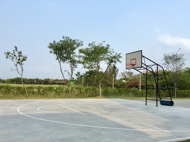 BasketballCourt